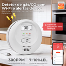 FlyHome SmartSense GAS+CO WiFi