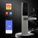 FlyHome Smart Lock Pro LX5