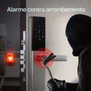 FlyHome Smart Lock Pro LX5