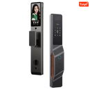 FlyHome FaceView Palm LK0263