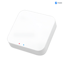 FlyHome Gateway G2